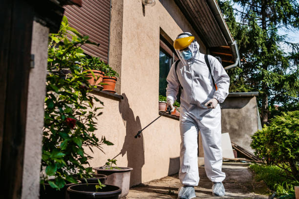 Best Spider Control Near Me  in Sultana, CA