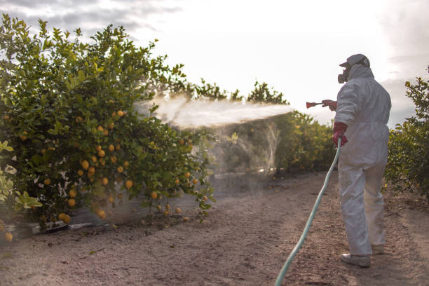 Best Best Pest Control Companies  in Sultana, CA