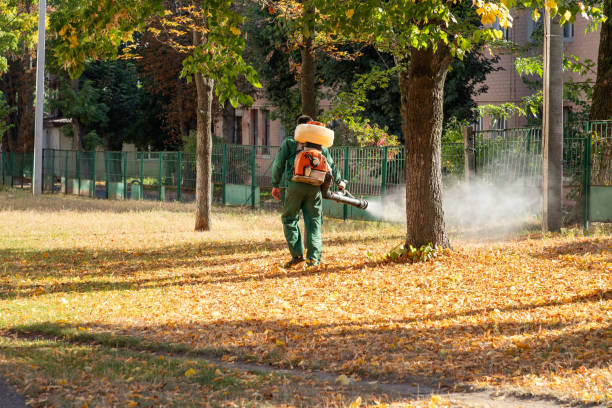 Best Rodent Control Near Me  in Sultana, CA